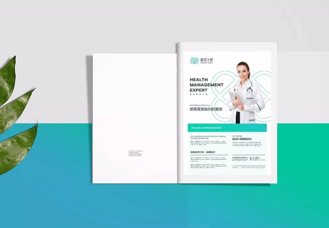 【LOGO设计案例】盛世天爱体检中心