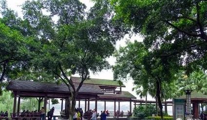 泸州城市LOGO诞生 “中国酒城”带回“泸”字新伙伴