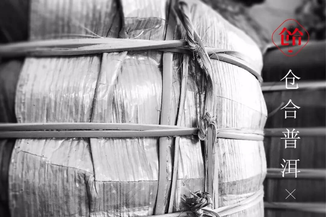 【LOGO设计案例】一山一茶 仓合普洱