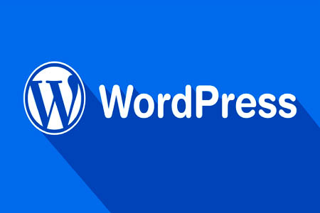 如何处理WordPress CPU占用100%很高的问题!