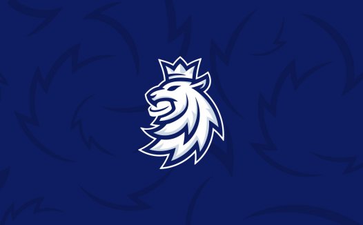 捷克冰球协会LOGO升级 历时两年打造的全新视觉形象系统