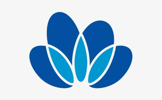中国中化控股有限责任公司正式揭牌，LOGO设计是朵牡丹花