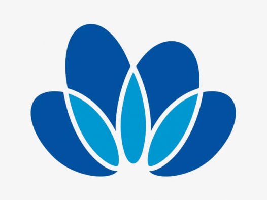 中国中化控股有限责任公司正式揭牌，LOGO设计是朵牡丹花